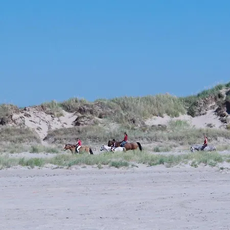 شقة Lite - 3km From The Sea In Western Jutland By Interhome *
